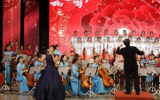 河南豫剧板胡，河南豫剧板胡大师集锦